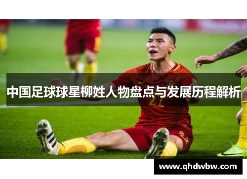 中国足球球星柳姓人物盘点与发展历程解析